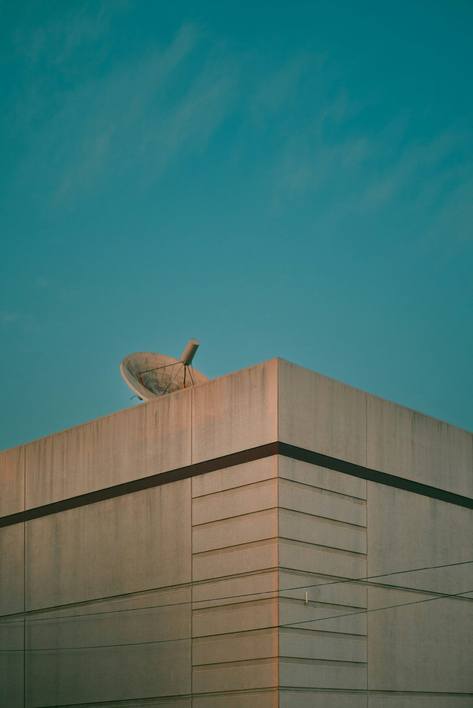 a bird is sitting on top of a building