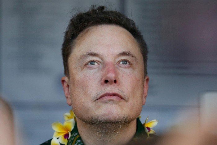 Elon Musk, wearing a lei with yellow flowers, looks upwards