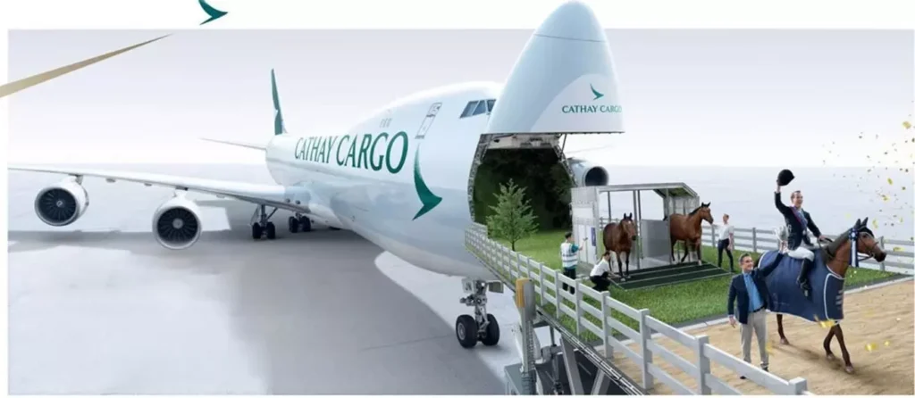 Cathay Cargo flies in equine stars of Hong Kong Intl Horse Show