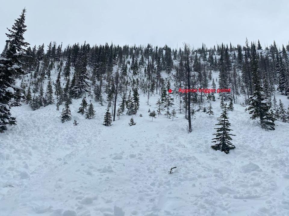 Parks Canada reported one of the skiers triggered the avalanche. The region is currently at a high risk for avalanche.