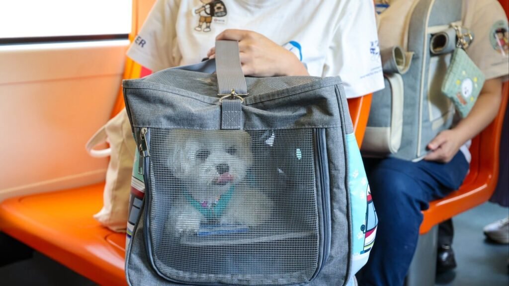 Some commuters call for new Hong Kong light rail service for pets to be expanded