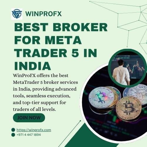 How Secure Is Forex Trading for Beginners in WinProFx?