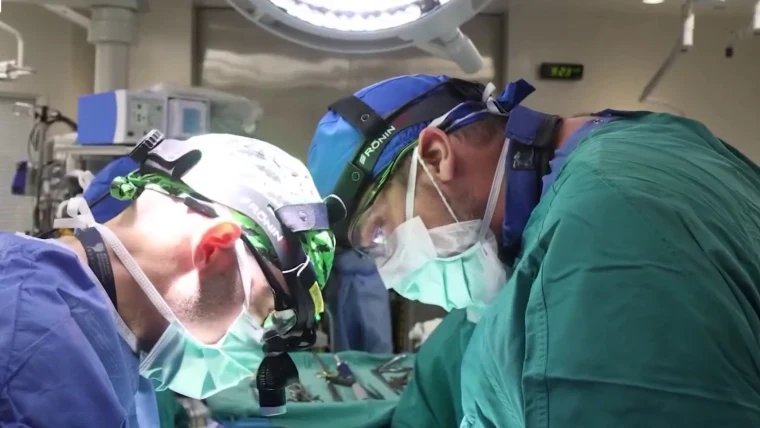 Human brains have 5 distinct 'epochs' in a lifetime, study finds