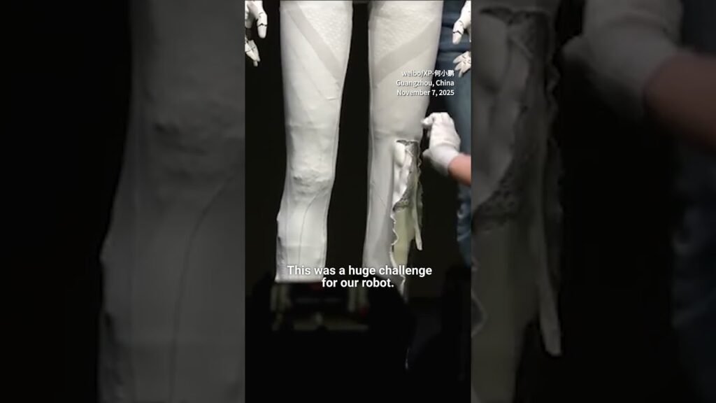 ‘Real Steel’: PLA unveils motion-controlled fight robot to 13 foreign militaries