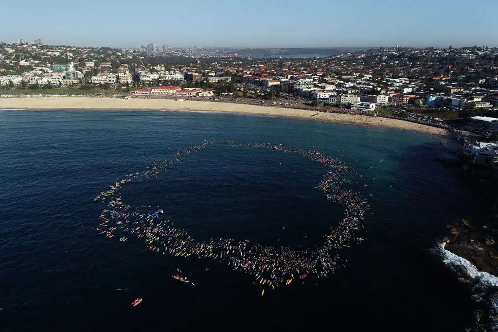 An aerial view of surfers forming a circle in the ocean just off a beach.