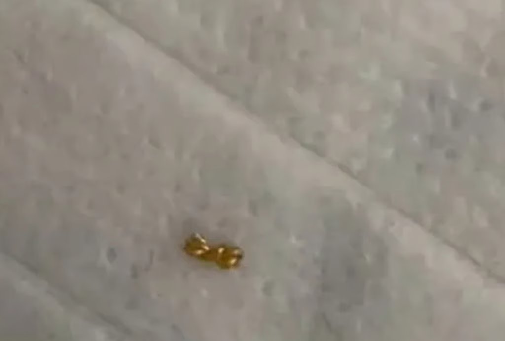 After studying surveillance footage, the boy’s parents were only able to retrieve a small part of the necklace. Photo: QQ.com