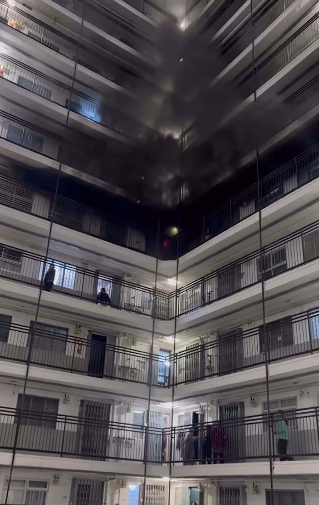 The fire at the housing estate in Kwai Chung killed a cat and injured four residents on Friday. Photo: Handout