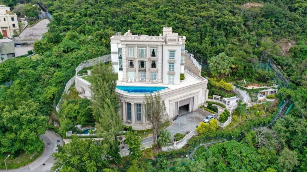Wild boar carcass found near Li Ka-shing’s home in Hong Kong sparks brief scare