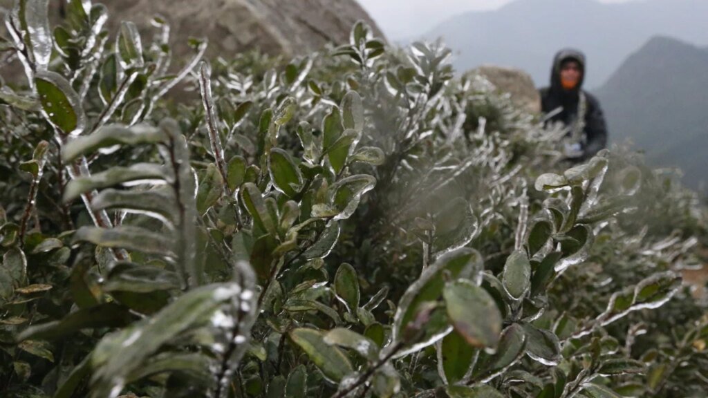 On This Day | In 2016, Hong Kong shivered through coldest day in 6 decades – SCMP archive