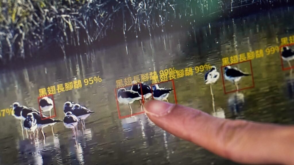 AI and laser-armed robot dogs sharpen Hong Kong’s environment impact reviews