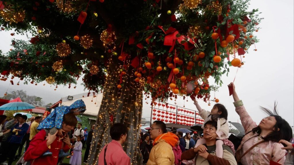 Hong Kong crowds flock to Tai Po wishing tree for Lunar New Year blessings