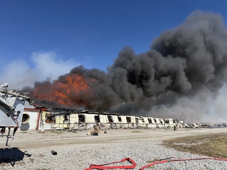 A fire at a commercial pig farm Feb. 25 in Union Township, Madison County, killed more than 6,000 pigs and destroyed four of the five buildings, according to fire officials.