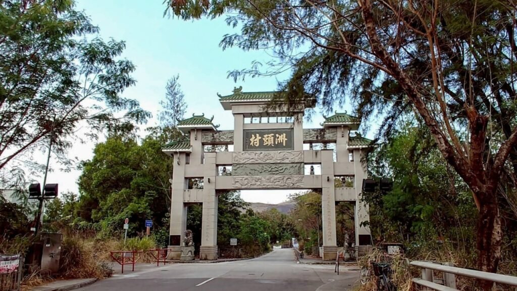 Man arrested after 20 cats, hamster found dead in Hong Kong flat