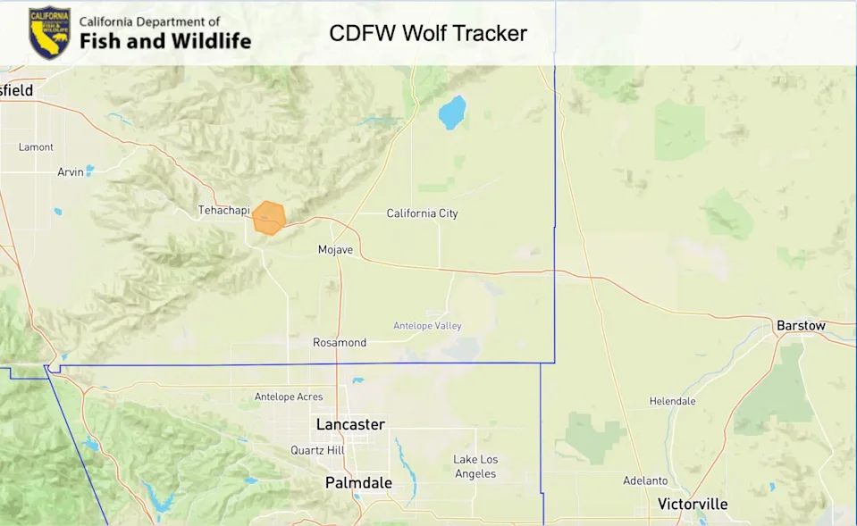 Last known location of BEY03F.