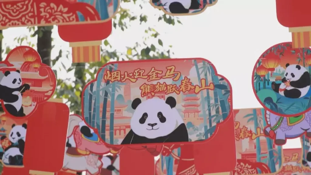 Visitors flock to Chengdu panda base amid Spring Festival holiday