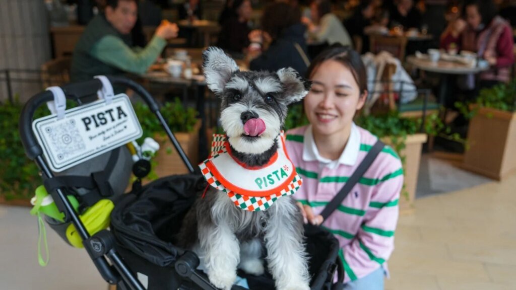 Government’s proposal for dogs in eateries a ‘step forward’ for Hong Kong: lawmakers