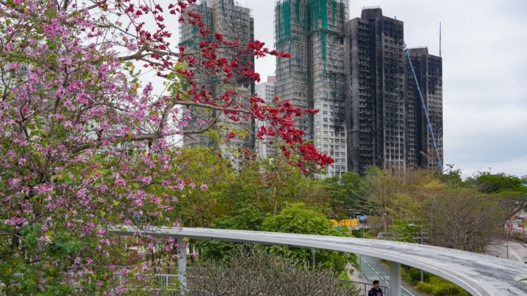 Residents of fire-ravaged Wang Fuk Court can retrieve belongings from late April