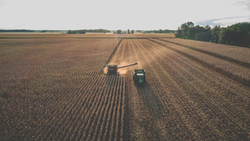 Former US officials warn of impending 'widespread collapse of American agriculture': 'Our farmers and ranchers … can't compete with the world'