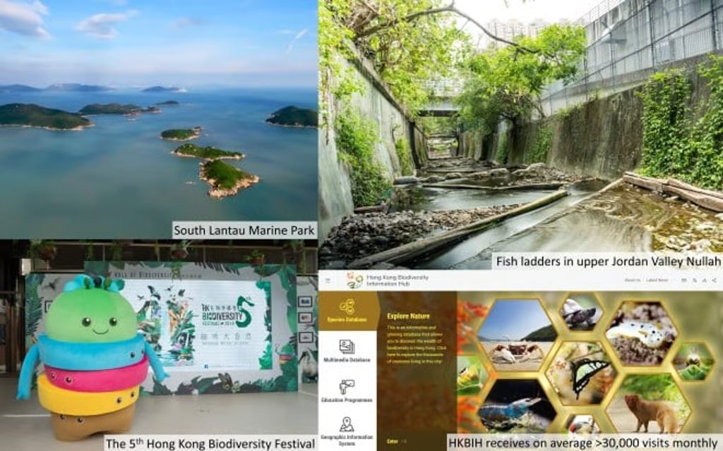 Hong Kong Biodiversity Strategy and Action Plan 2035: Building a Beautiful Hong Kong Where People and Nature Thrive in Harmony