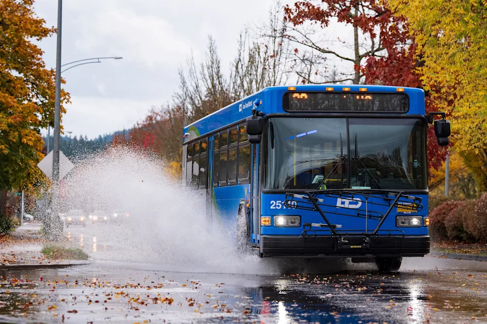 A Lane Transit District bus splashes through a puddle on Hilyard Street in Eugene on Nov. 5, 2025.
