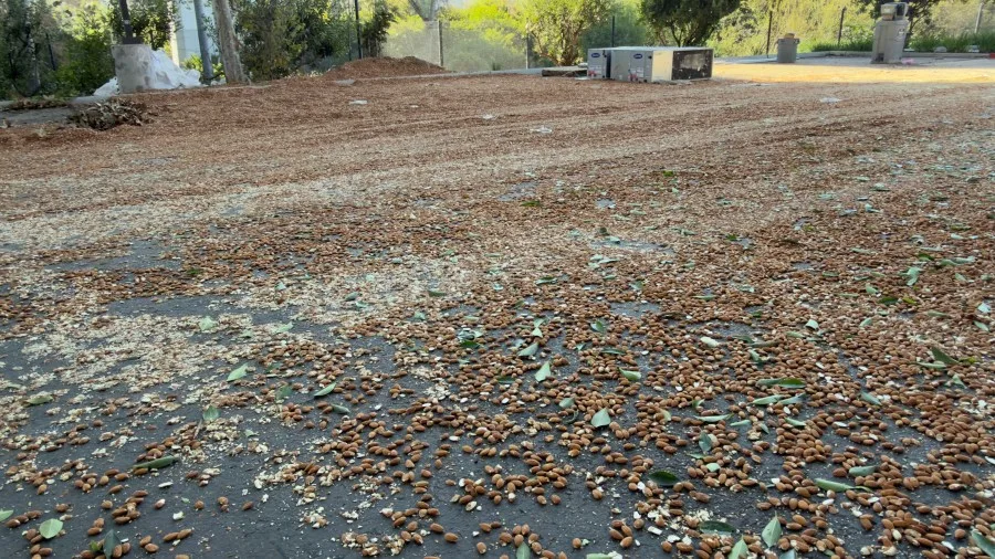 Almonds fall from the sky, damage cars after semi truck fire on San Diego highway