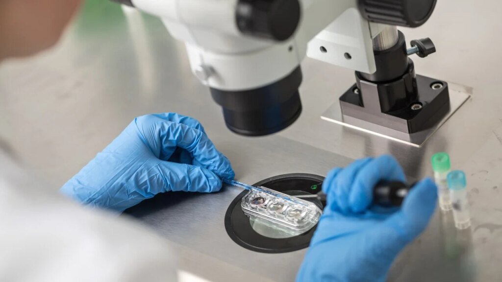 Chinese company to use AI-powered chromosome testing to boost profits and fast-track IVF