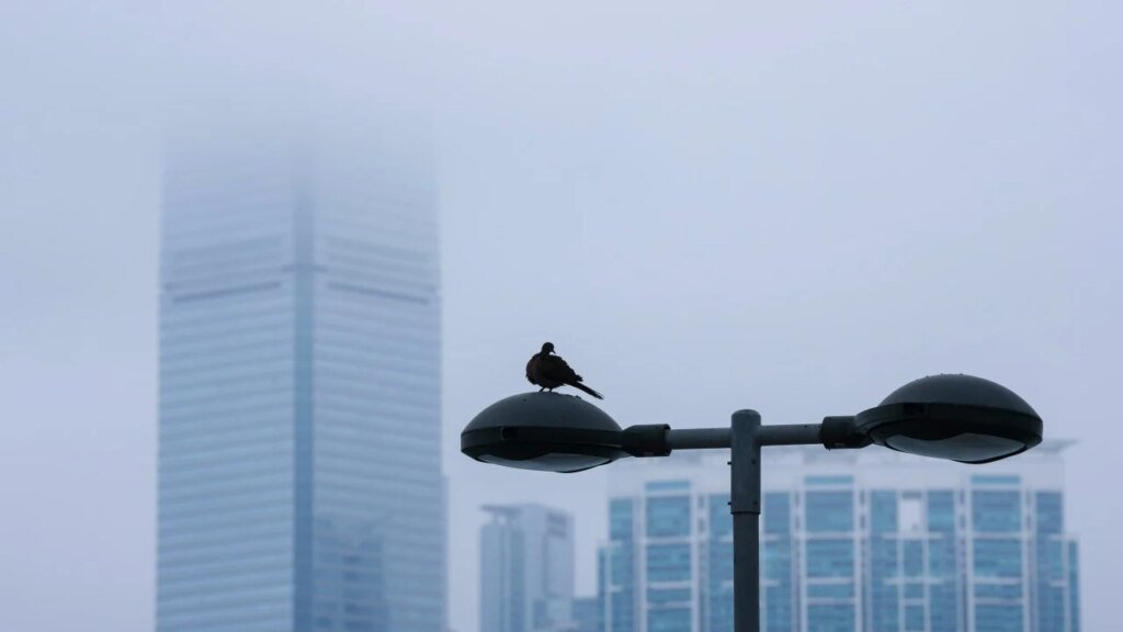 Damp days ahead in Hong Kong, with 95% humidity expected in midweek