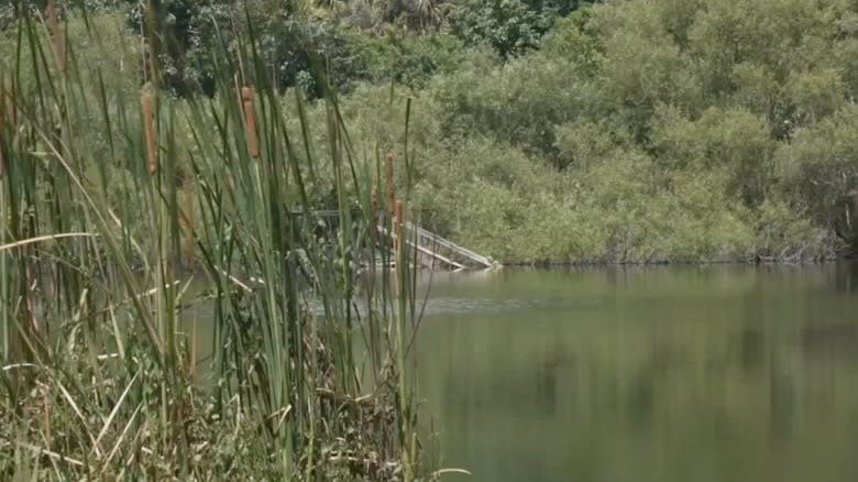 A view of Leeland Lake from ground level