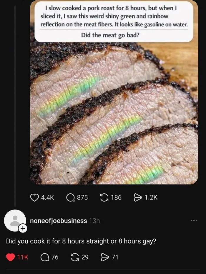 Text exchange image. Top: Concern about pork roast's rainbow appearance. Bottom: Humorous comment about cooking duration