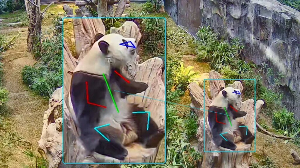 Hong Kong’s Ocean Park uses AI to track, enrich lives of giant pandas, monkeys