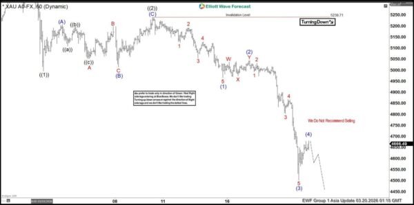 Gold Extends Lower as Wave (5) Approaches