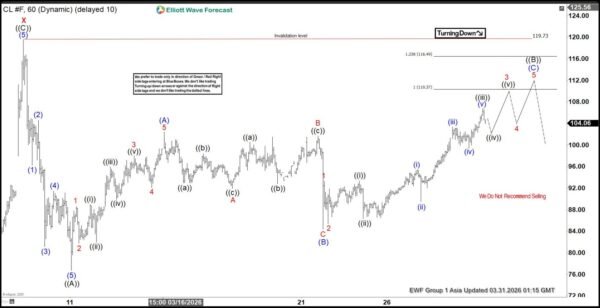 Elliott Wave Outlook: Oil (CL) Zigzag Rally Targets $110 Area