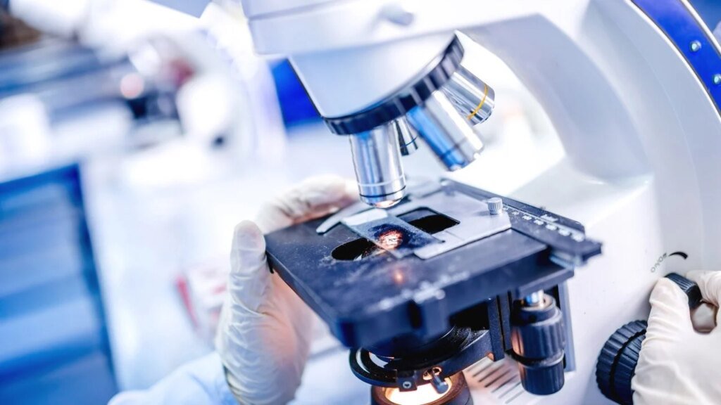 Biotech-led boom as 8 China firms flock to Hong Kong’s thriving stock market