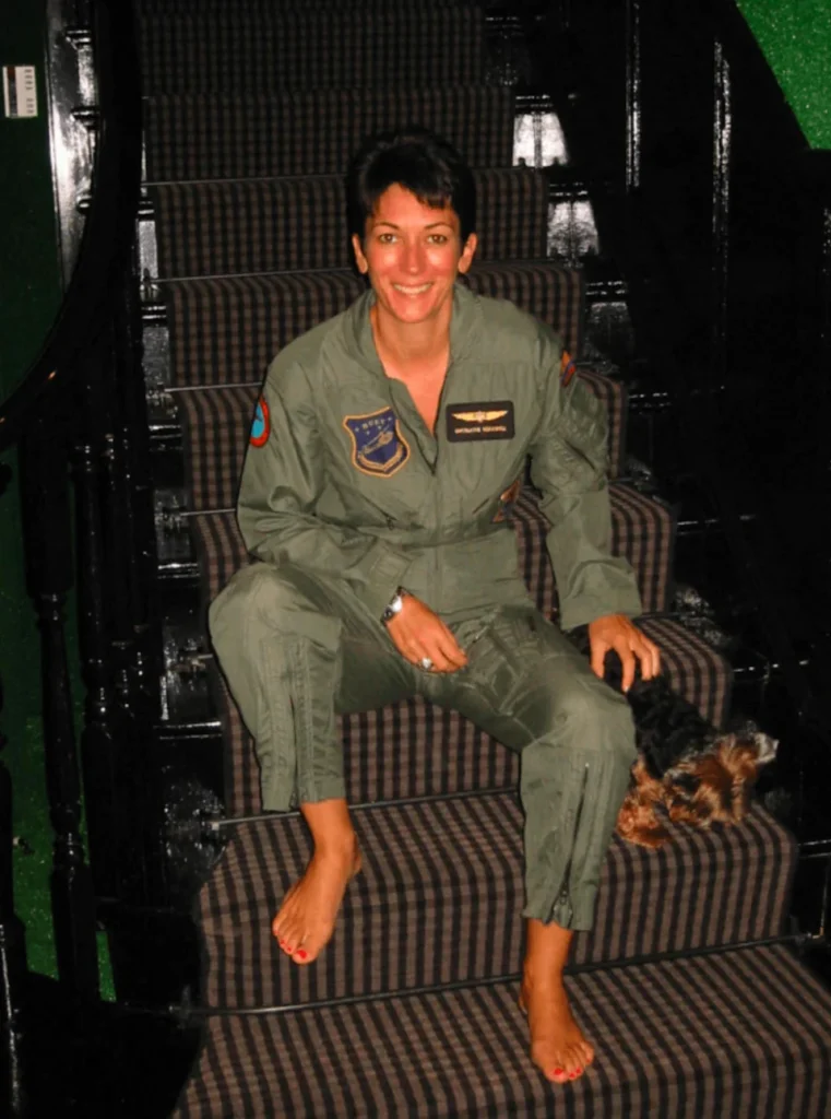 <span class="wp-caption-text">DOJ/MEGA</span>