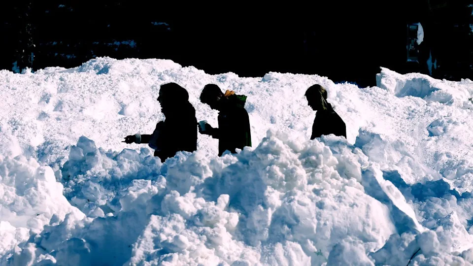Brown University students walk on the campus, Tuesday, Feb. 24, 2026, in Providence, R.I. (AP Photo/Mark Stockwell)