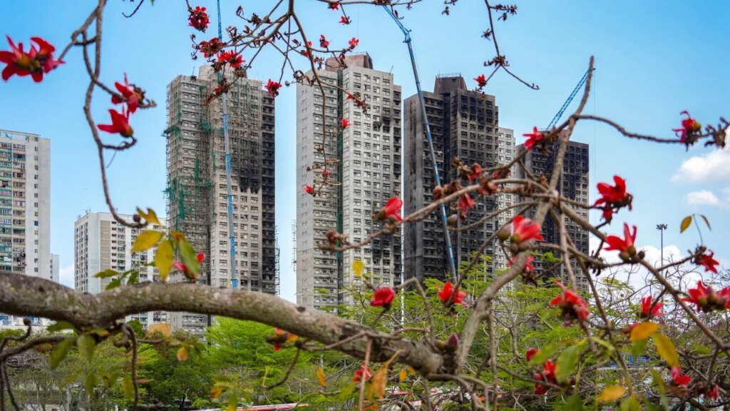 Tai Po fire probe: no commander to track firefighters’ entry records – as it happened