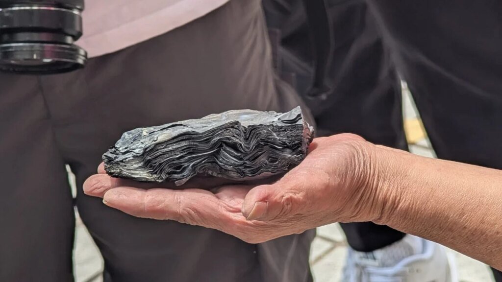 Wang Fuk Court resident finds charred HK$100,000 inheritance after opening safe