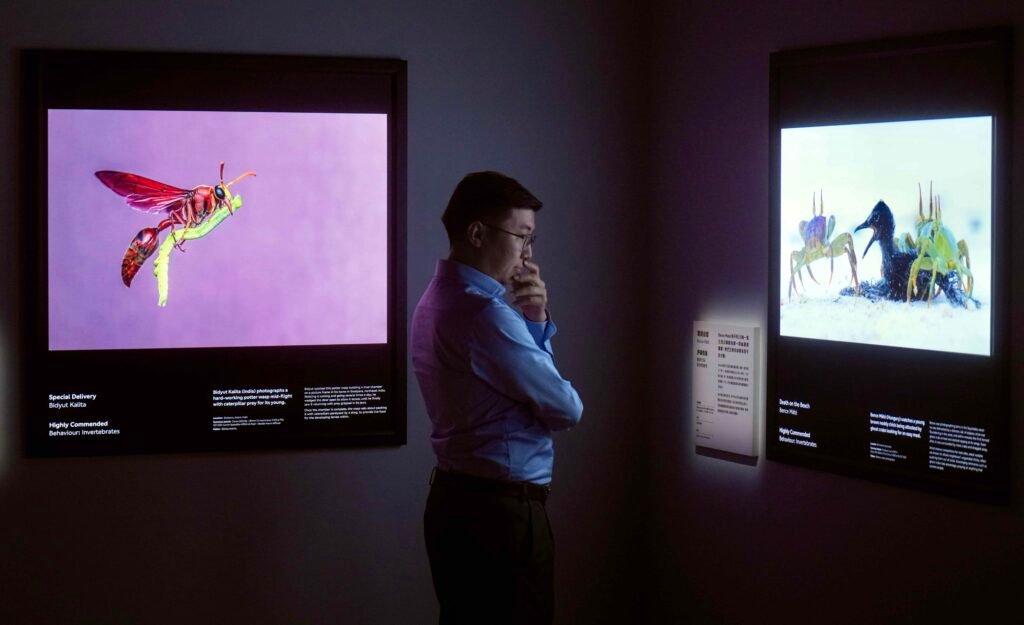 Celebrating science and nature