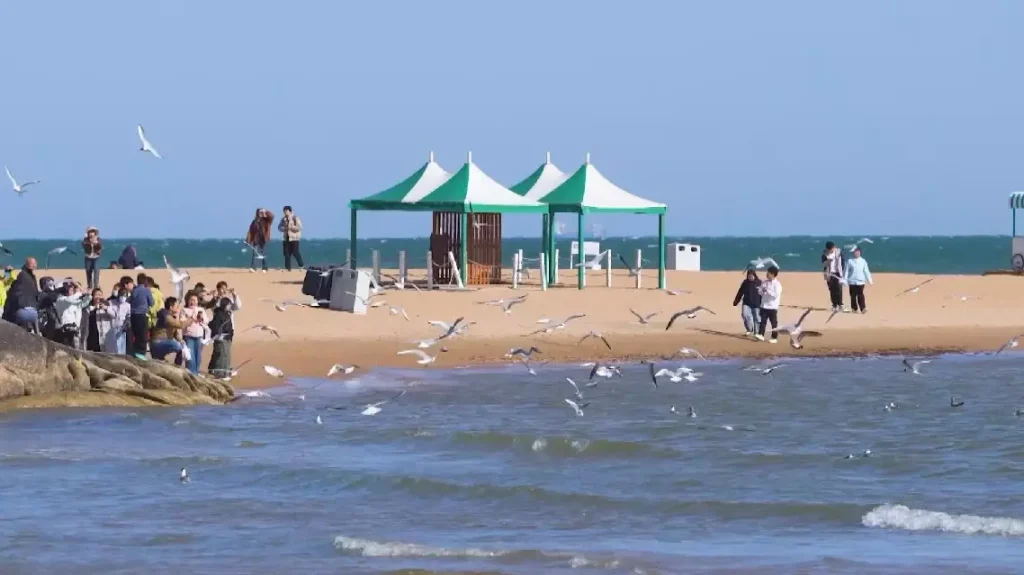 Spring outings boom during Qingming holiday in China