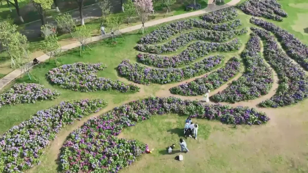 Scenic spots across China see surging tourist flow during Qingming Festival holiday