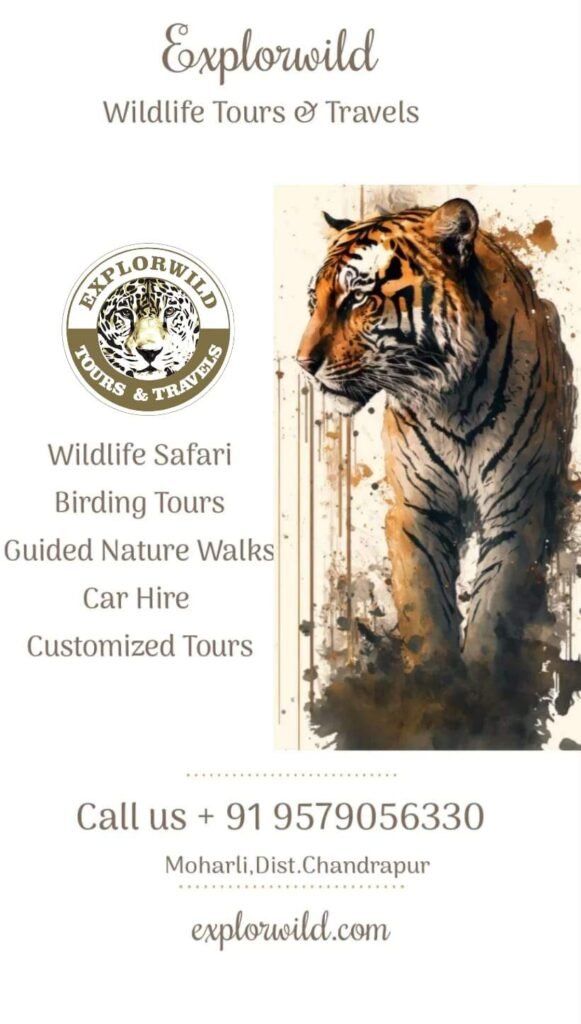 Brand new No deposit Bonus ️ Most recent Uk Local casino Also offers when you look at the April 2026