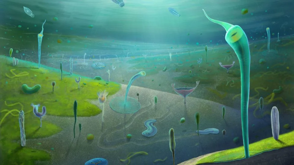 An artist’s reconstruction, based on fossils found in what's now China’s Yunnan province, depicts the Jiangchuan Biota about 554 million to 539 million years ago. - Xiaodong Wang