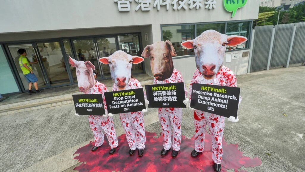 Hong Kong animal groups urge HKTVmall boycott over life science experiments