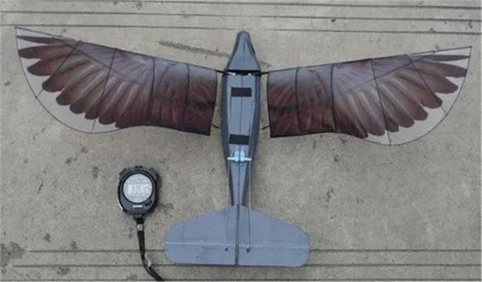 Bird-like drone