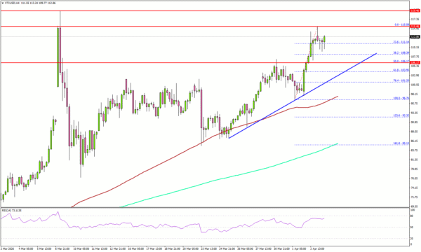 WTI Crude Oil Eyes Major Breakout, Surge Could Ignite Powerful Rally
