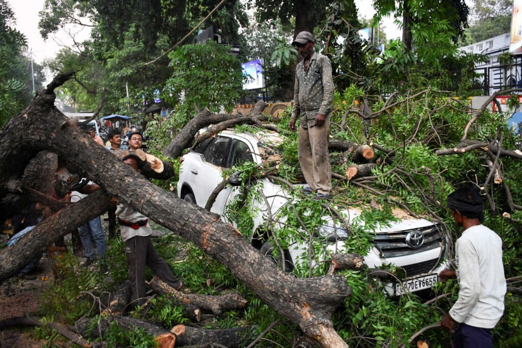 A white car is buried under a tangle of dark tree branches and green leaves. Several people work to cut and remove the large tree debris.