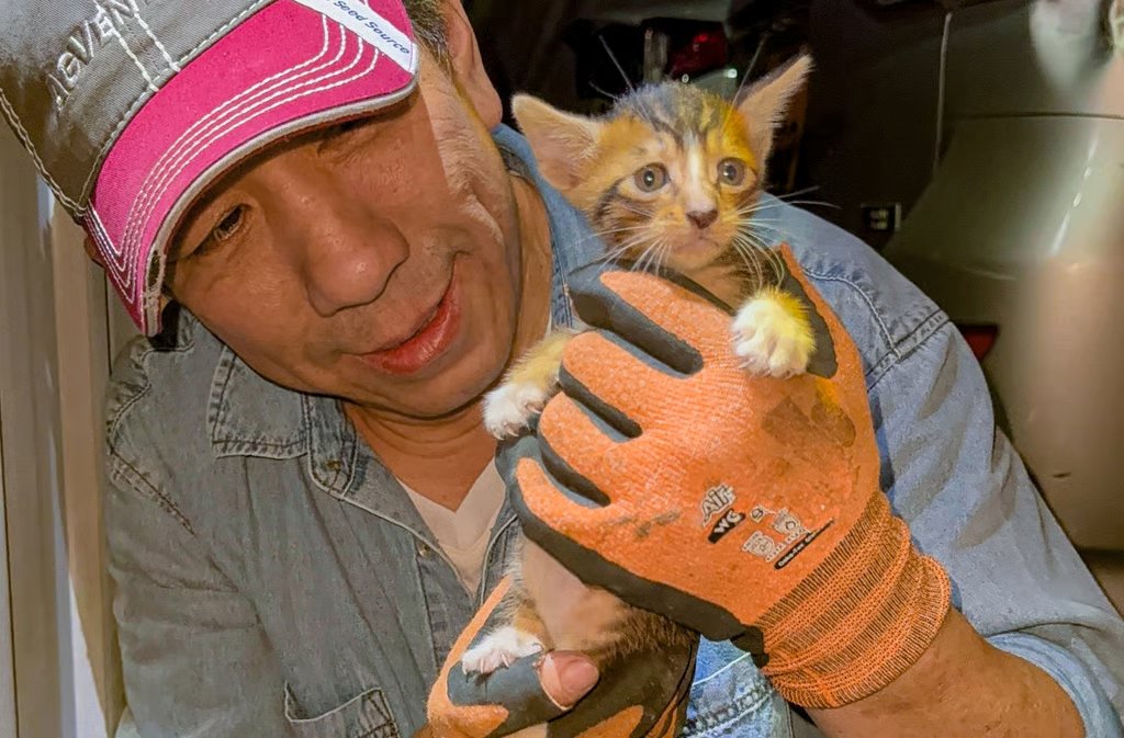 Paws Guardian Rescue Shelter founder Kent Luk. Photo: Handout
