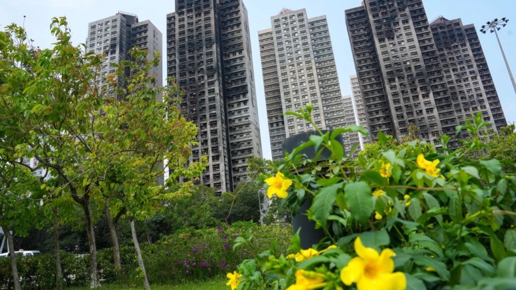 Tai Po fire: building authorities slammed at inquiry for ‘mechanical mindset’