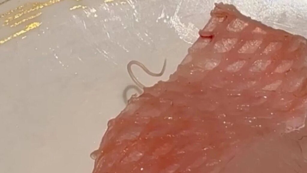 Viral clip of parasite in sashimi at Hong Kong sushi branch triggers raw emotions