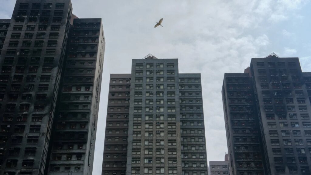 ‘Heavy’ hearts as residents of Wang Fuk Court’s only spared block return again